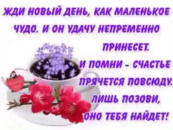 удачи в новом дне