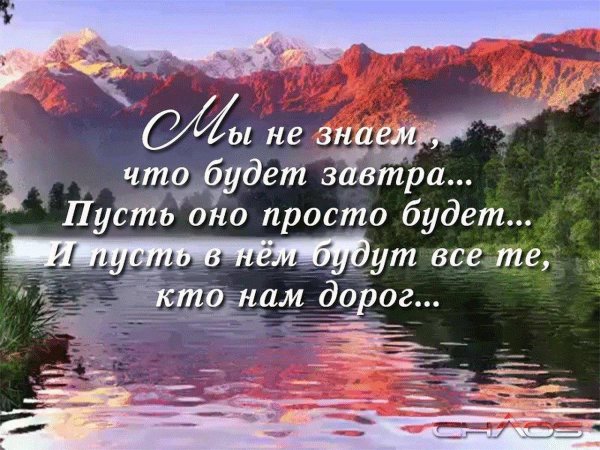 мы не знаем что будет завтра