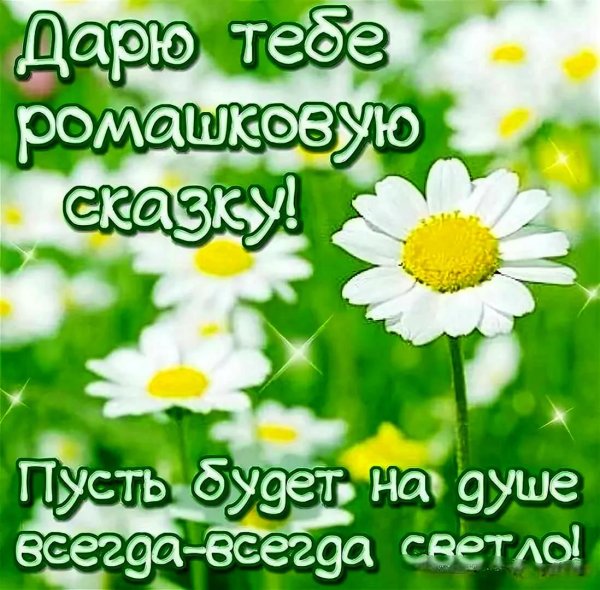 с ромашками