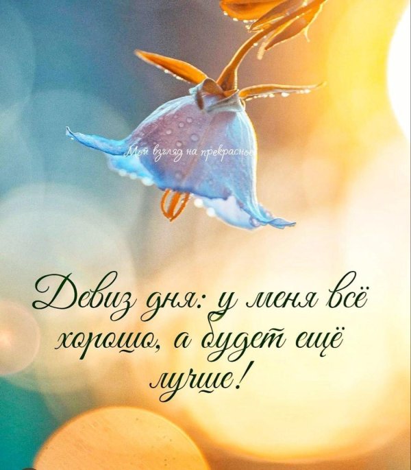 доброе утро философская