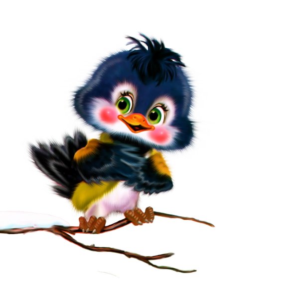 привет солнышко