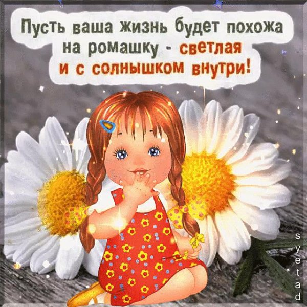 пусть ваша жизнь будет похожа на ромашку