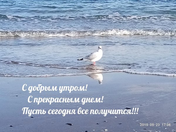 отличного дня море