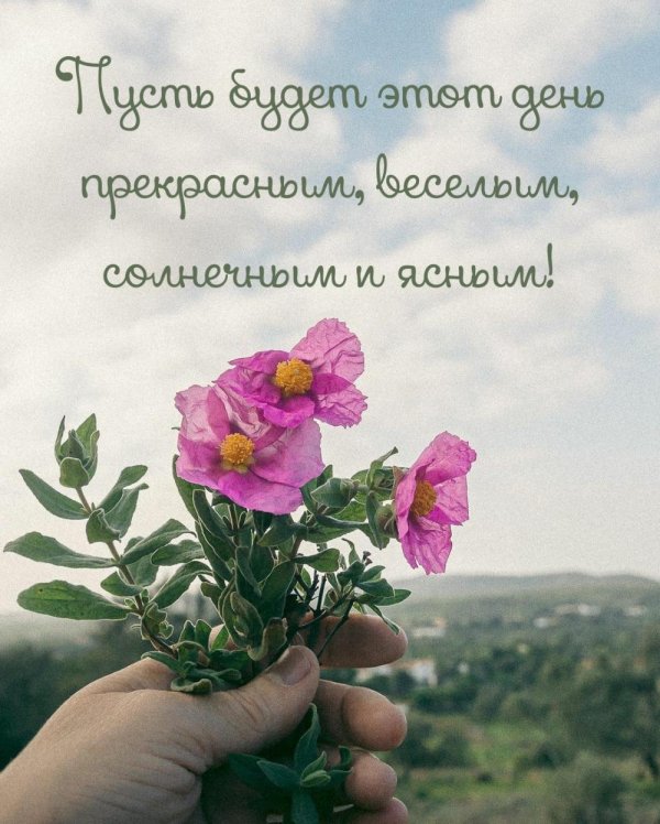 цветы дикие