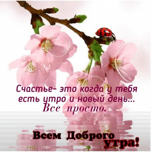 новый день доброе утро