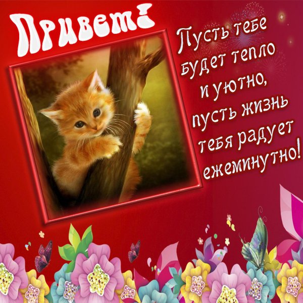 открытка с приветом
