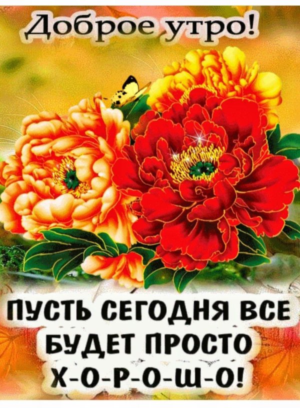 добра утра