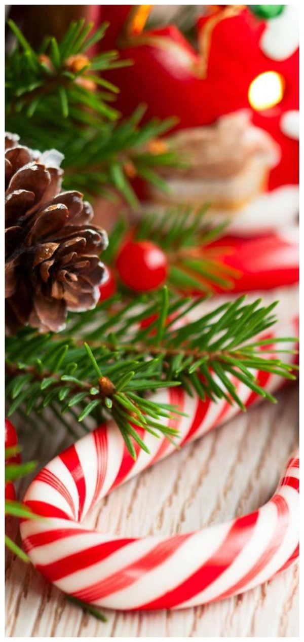 candy cane christmas