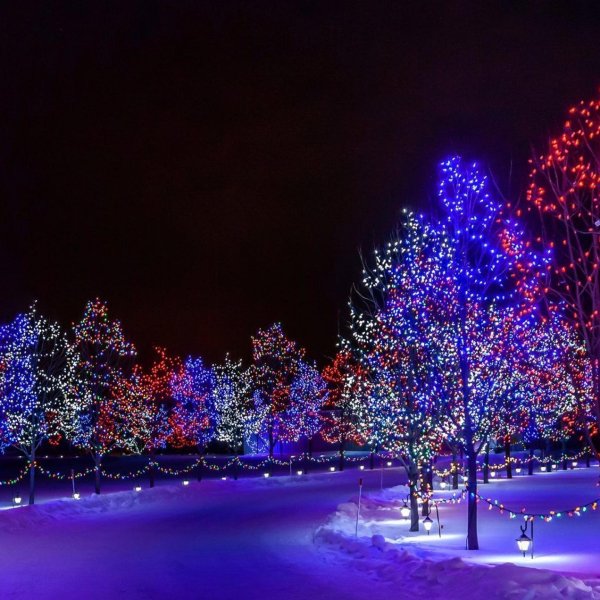 рождество зима