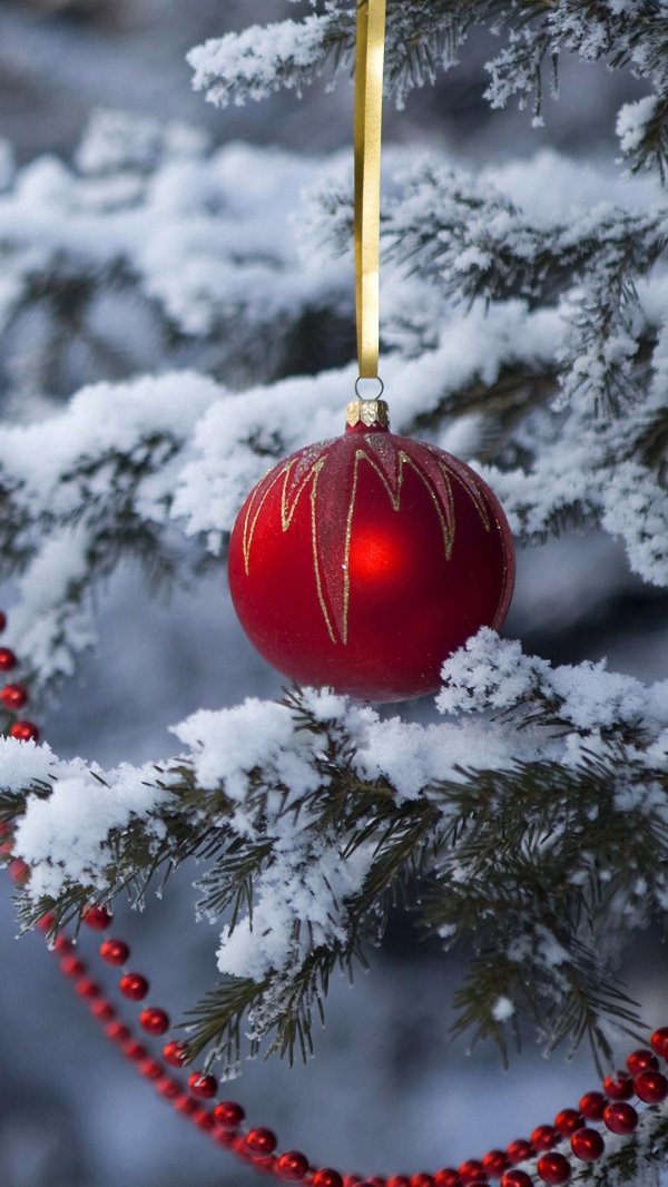 с нового года