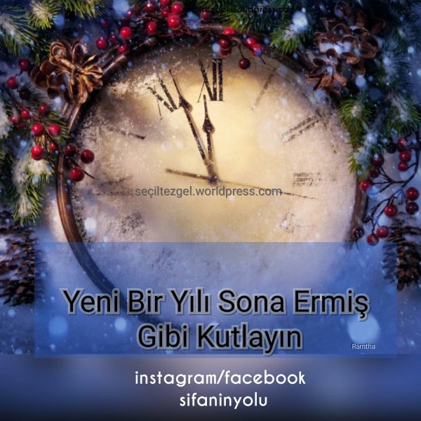 новогоднее желание