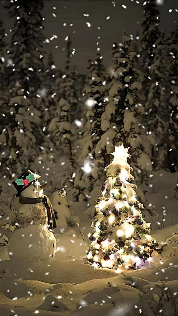 новогодний лес