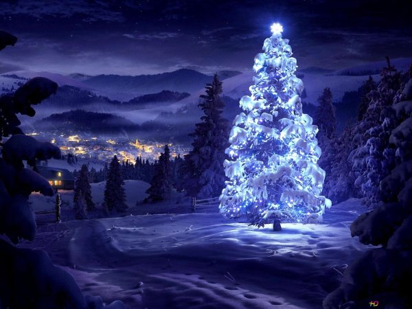 новогодний лес