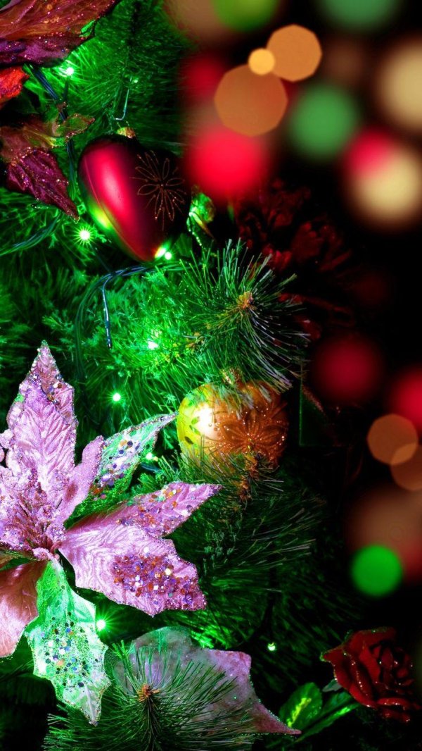 новогодняя заставка