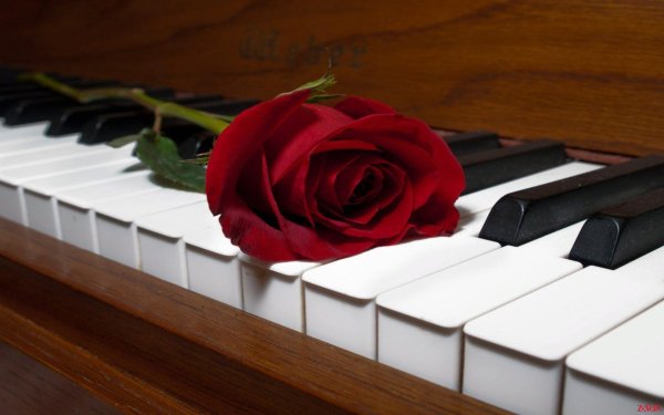 пианино клавиши