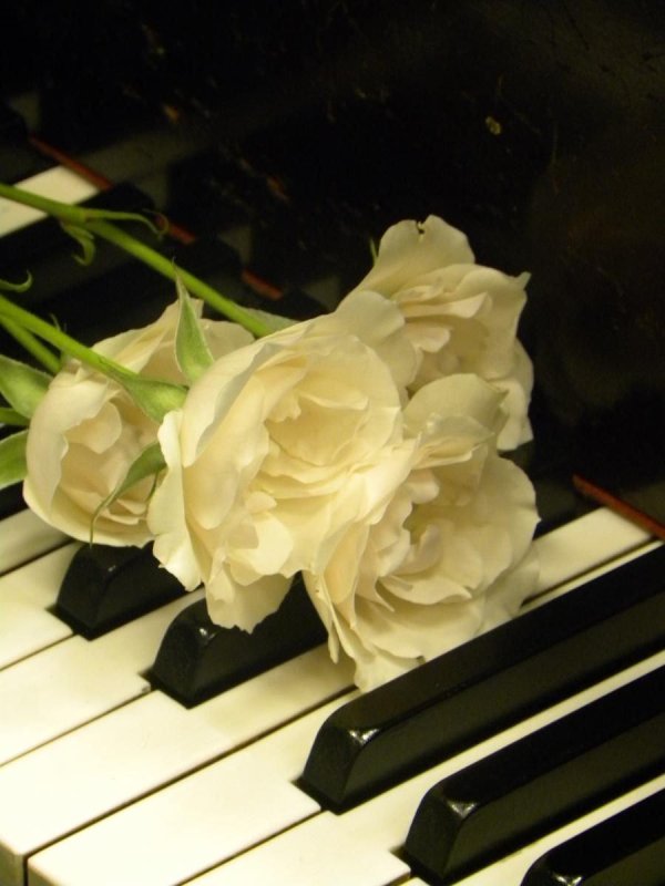 красивое пианино