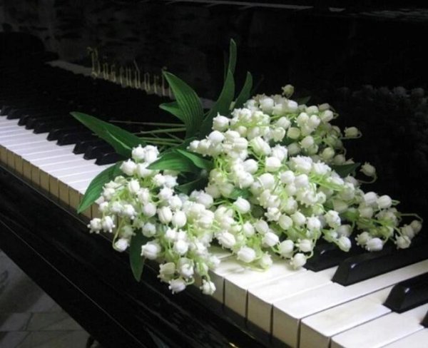 ландыши майские