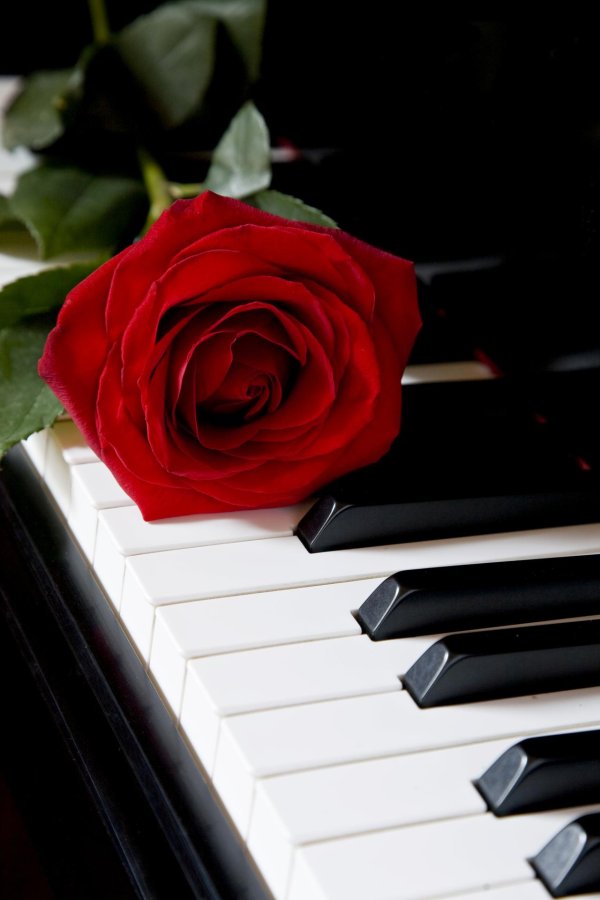 фортепиано с розой
