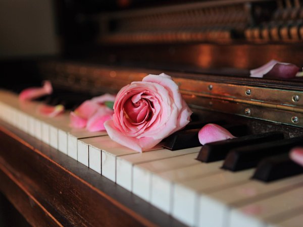 романтичная мелодия без слов для фона