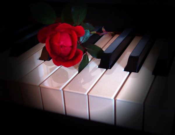 клавиши рояля