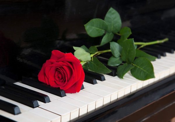 красивое пианино