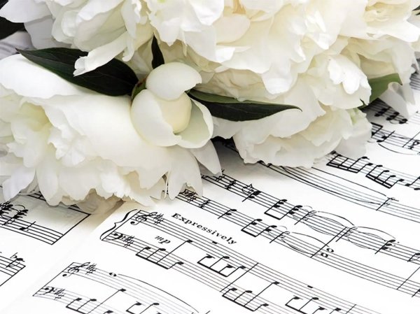 белые розы ноты