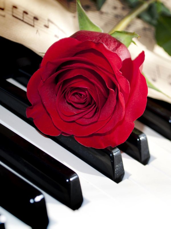 красивое пианино