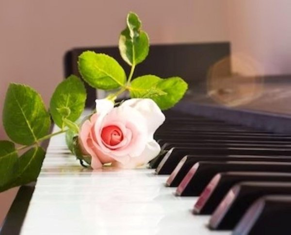 цветы на рояле