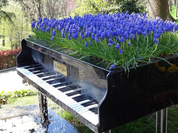 клумба пианино