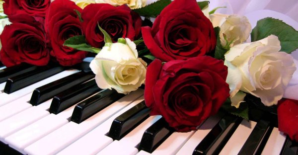 музыкальный букет цветов