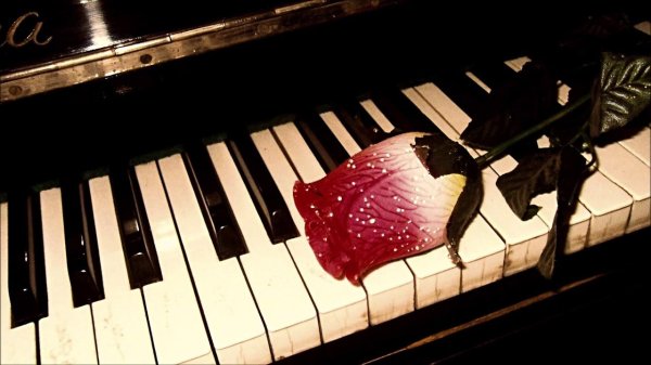 фортепиано прелюдия