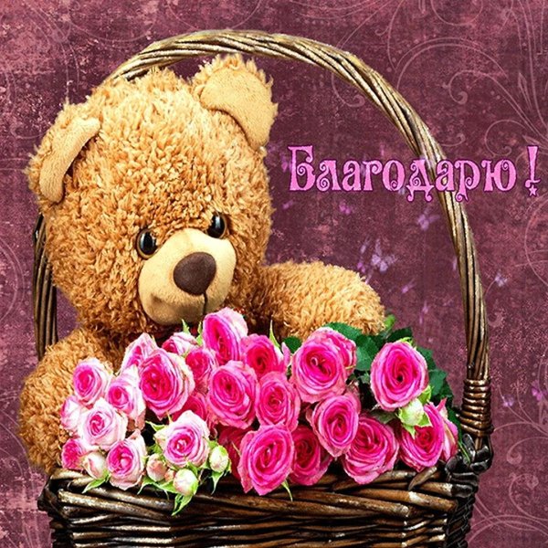 мишка и цветы