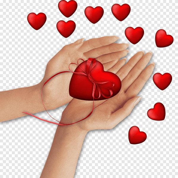 сердечко в руках