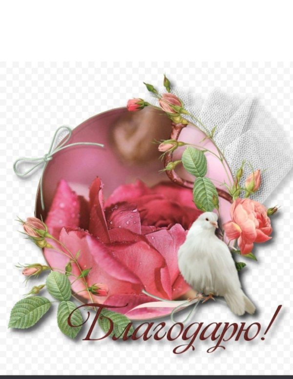 благодарим от всей души