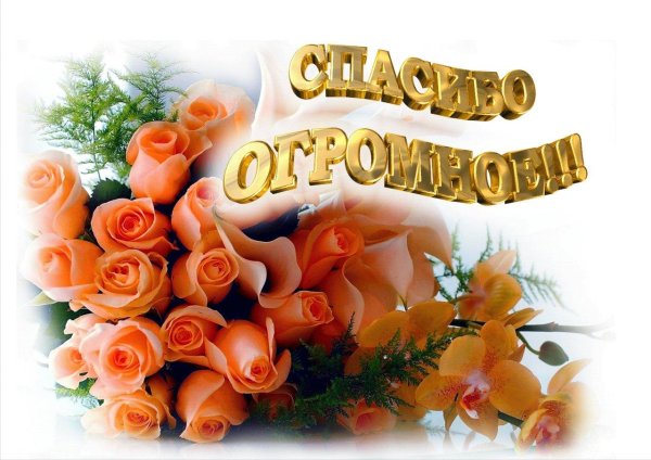 благодарим открытка