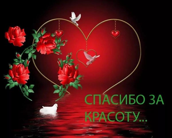 открытки красота