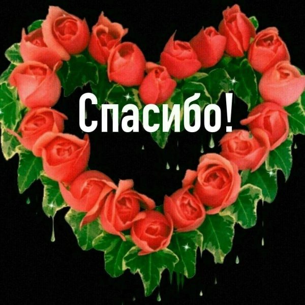 спасибо надежда открытки