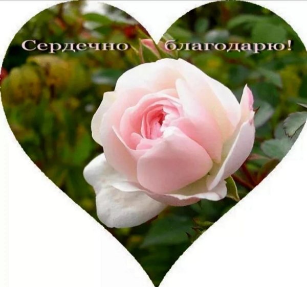 искренне благодарю