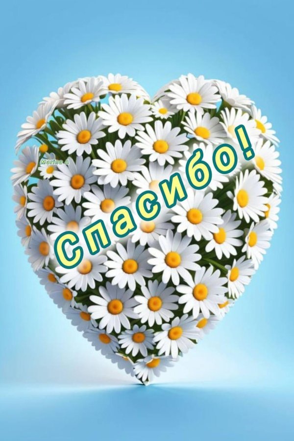 сердечко из ромашек