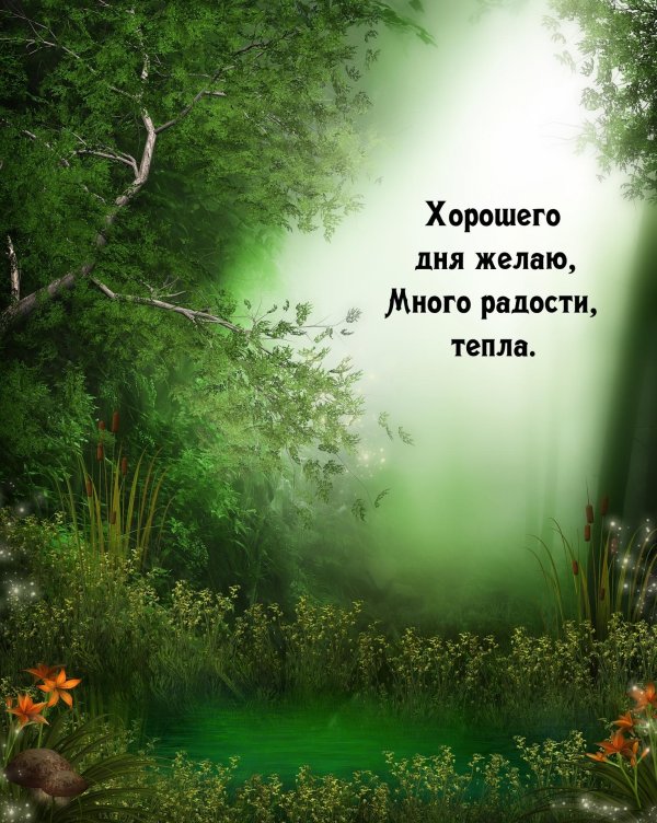 сказочные фоны