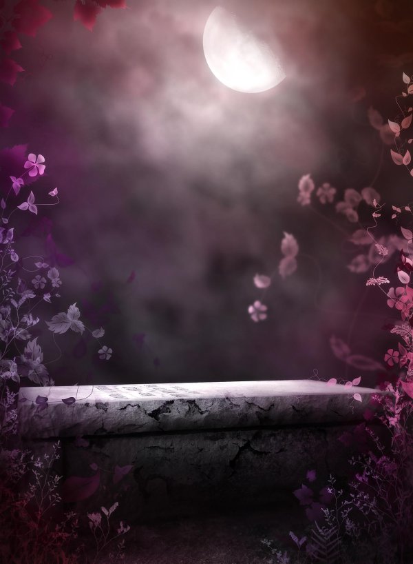 красивые фоны для фотошопа