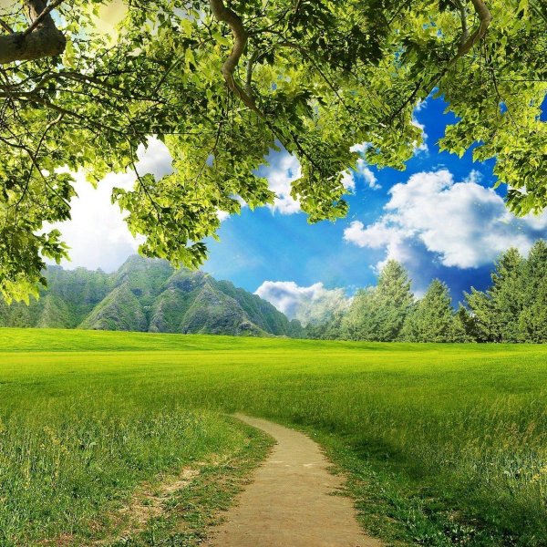 красивые фоны природа