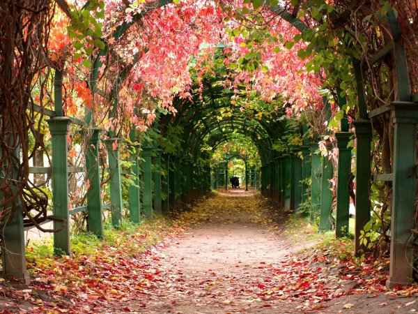 пергола берсо