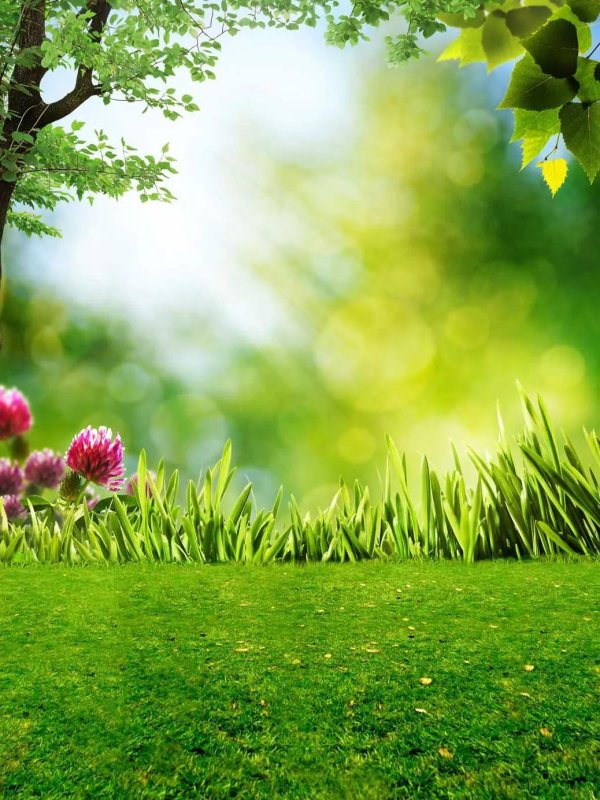 весенние фоны