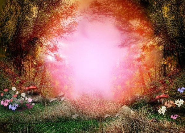 сказочные фоны