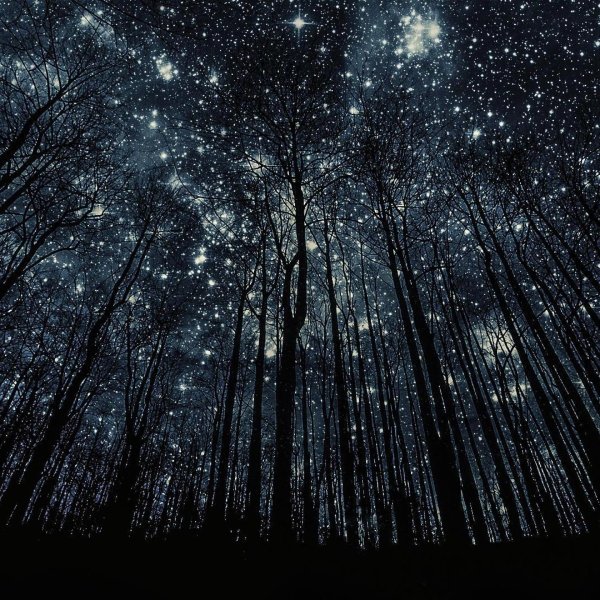 звëздная ночь
