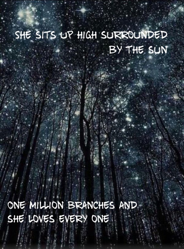 ночное небо