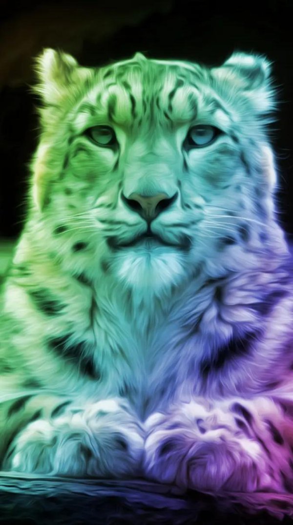 барс снежный