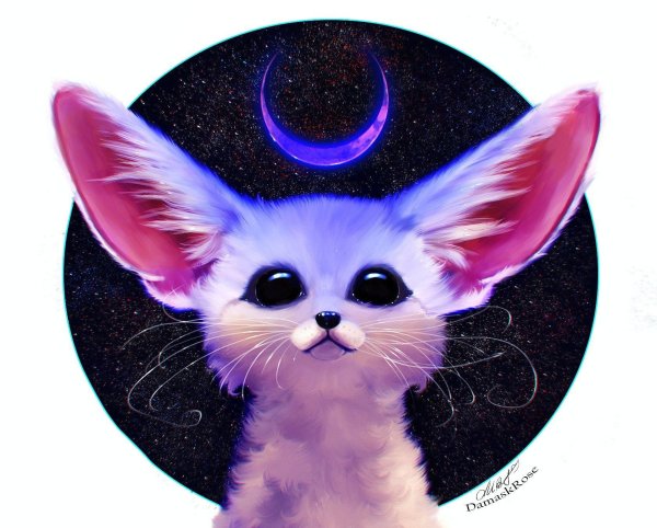 фенек на аву