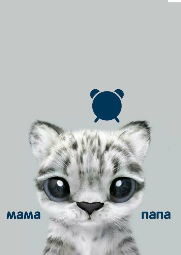 снежный барс детеныш